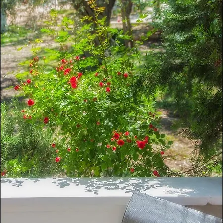 別荘 Sunray Separate スカラ・ソティロス