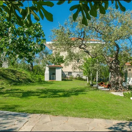 Casa de Férias Sunray Separate *