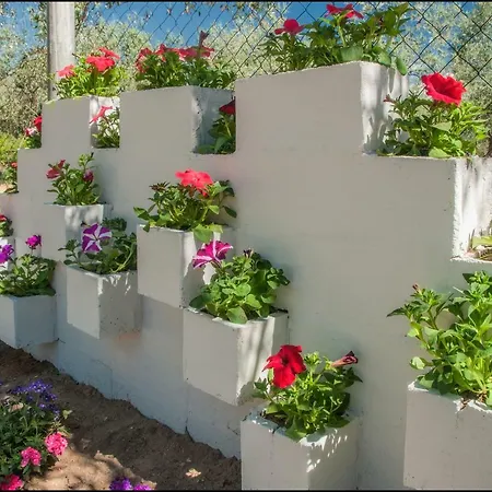 Sunray Separate * スカラ・ソティロス