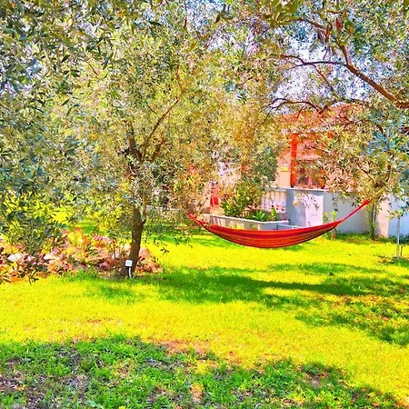 Case de vacanță Sunray Separate