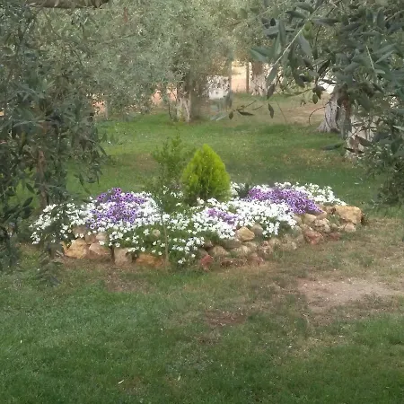 Σπίτι διακοπών Sunray Separate Σκάλα Σωτήρος