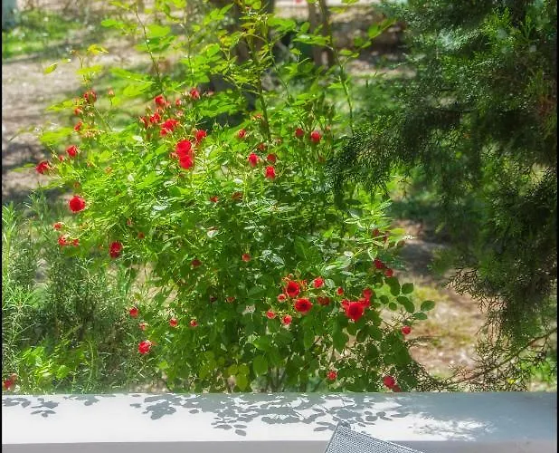 Сasa de vacaciones Sunray Separate Skala Sotiros