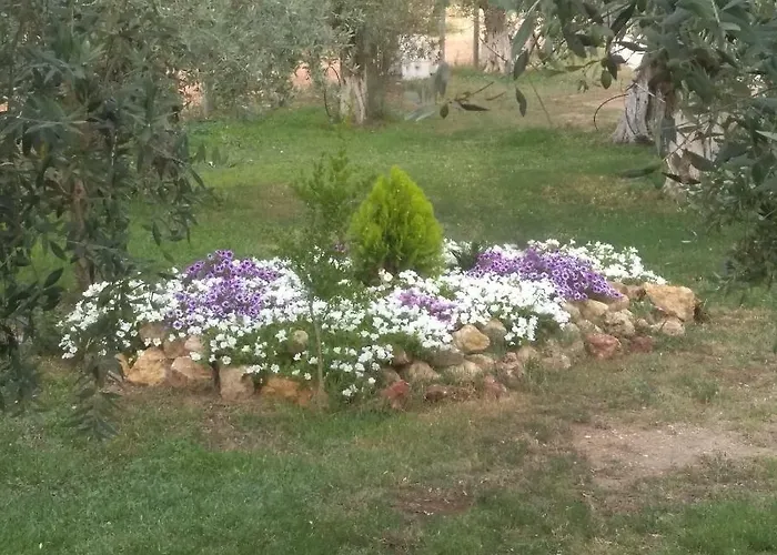 Сasa de vacaciones Sunray Separate Skala Sotiros